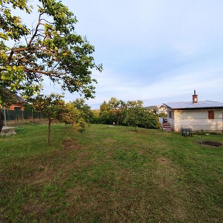 Wine House Znojmo Villa Esterno foto