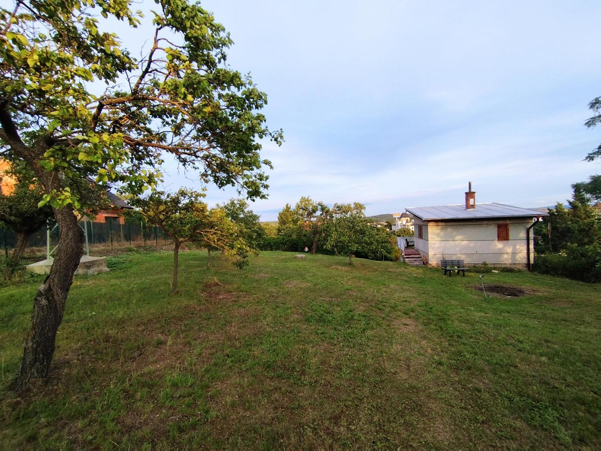 Wine House Znojmo Villa Esterno foto